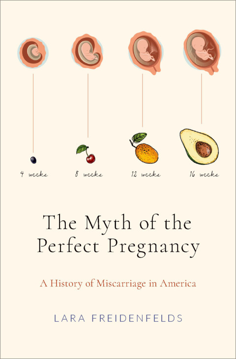 Cover image for book The Myth of the Perfect Pregnancy