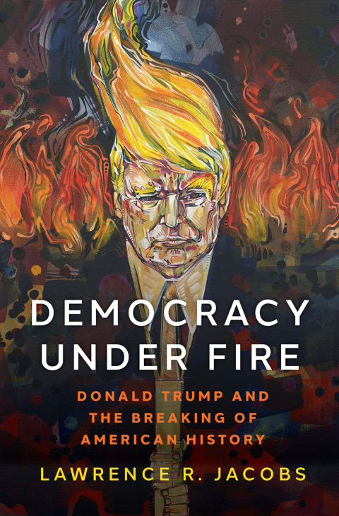 Cover image for book Democracy under Fire