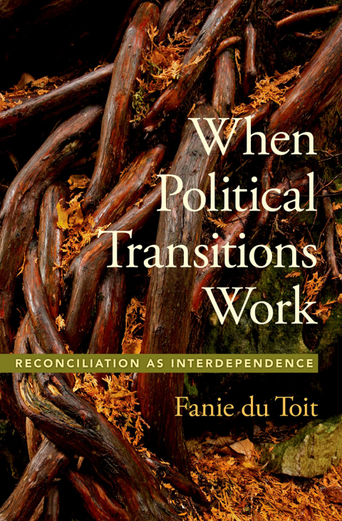Cover image for book When Political Transitions Work