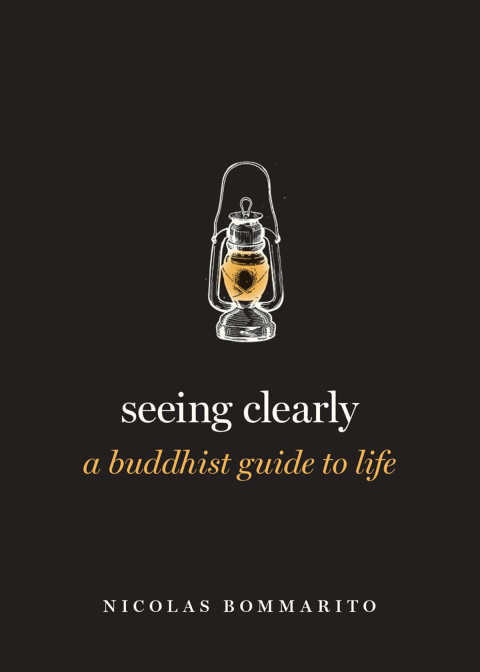 Cover image for book Seeing Clearly