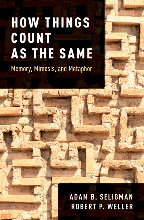 Cover image for book How Things Count as the Same