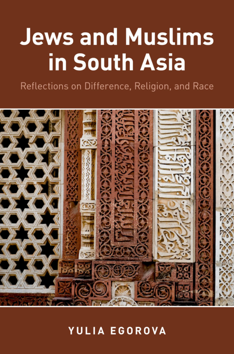 Cover image for book Jews and Muslims in South Asia