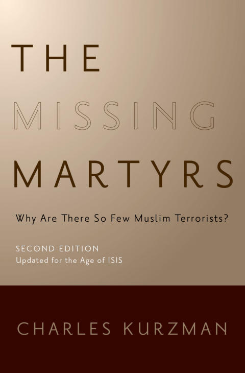Cover image for book The Missing Martyrs