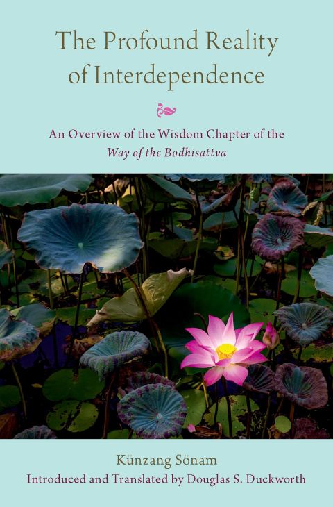 Cover image for book The Profound Reality of Interdependence