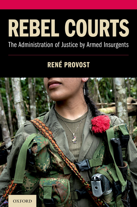Cover image for book Rebel Courts