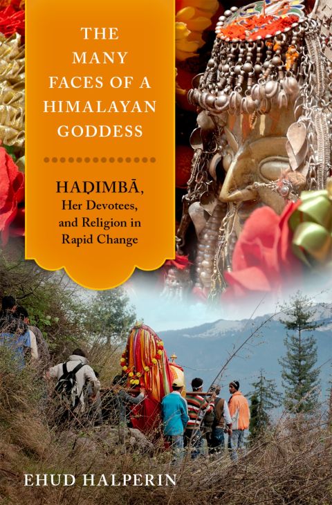 Cover image for book The Many Faces of a Himalayan Goddess