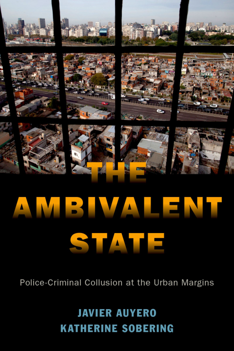 Cover image for book The Ambivalent State