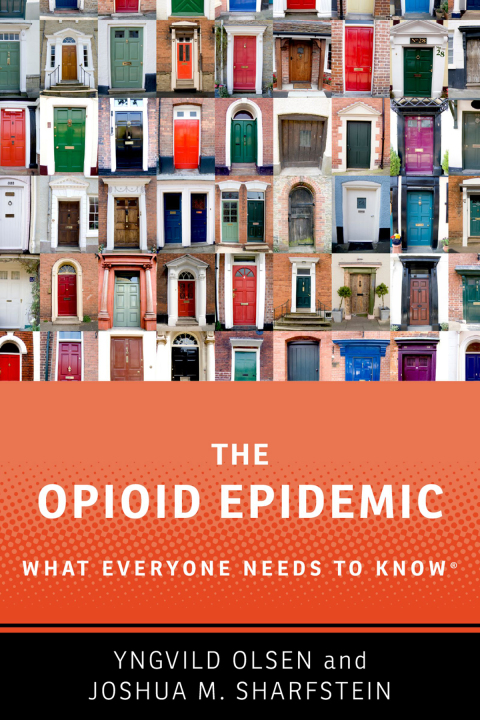 Cover image for book The Opioid Epidemic