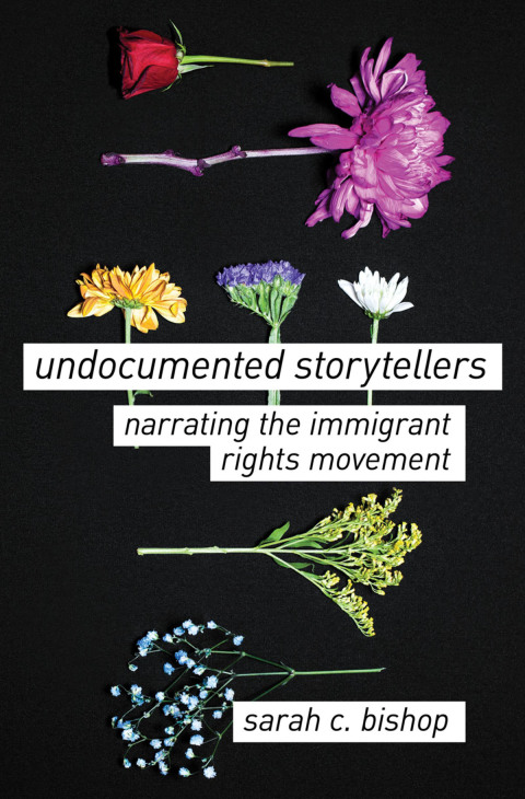 Cover image for book Undocumented Storytellers