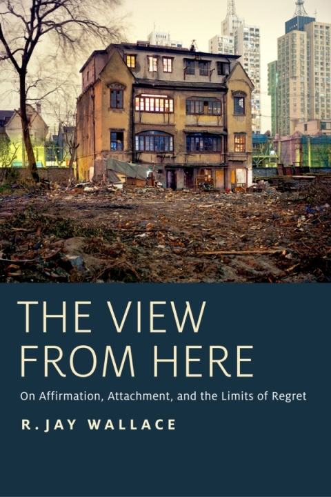 Cover image for book The View from Here