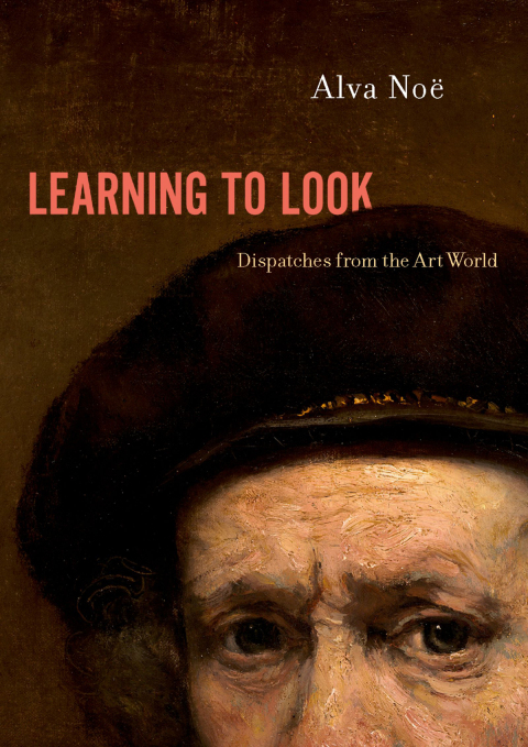 Cover image for book Learning to Look