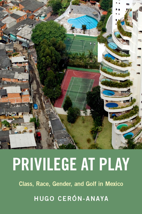 Cover image for book Privilege at Play