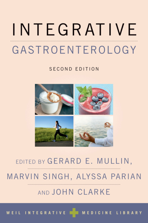 Cover image for book Integrative Gastroenterology
