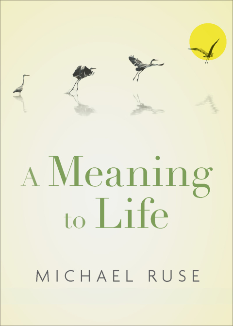 Cover image for book A Meaning to Life