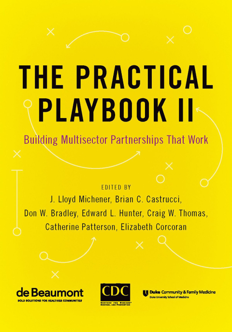 Cover image for book The Practical Playbook II