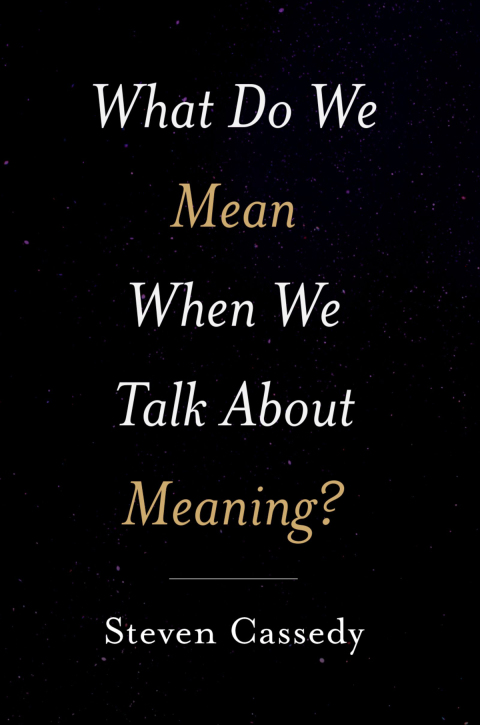 Cover image for book What Do We Mean When We Talk about Meaning?