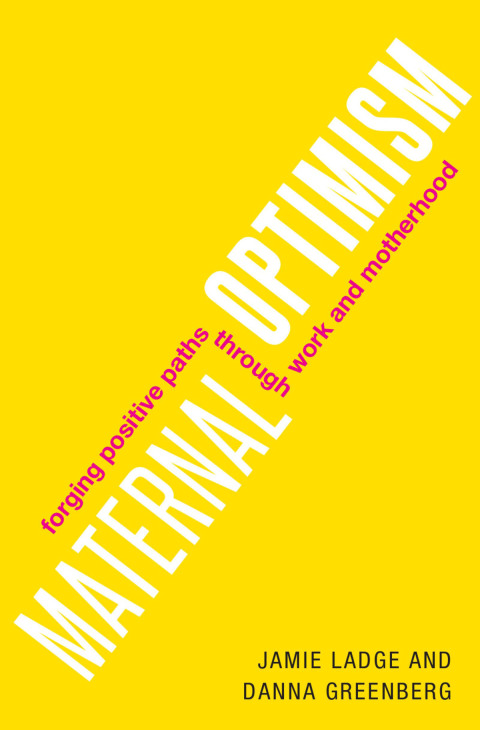Cover image for book Maternal Optimism