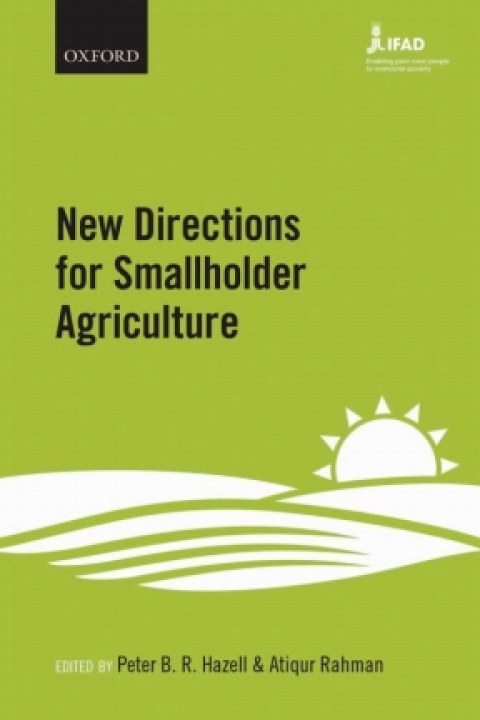 Cover image for book New Directions for Smallholder Agriculture