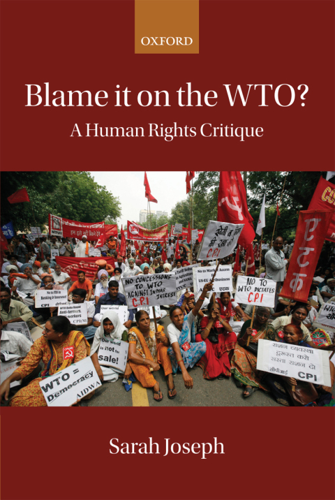 Cover image for book Blame it on the WTO?