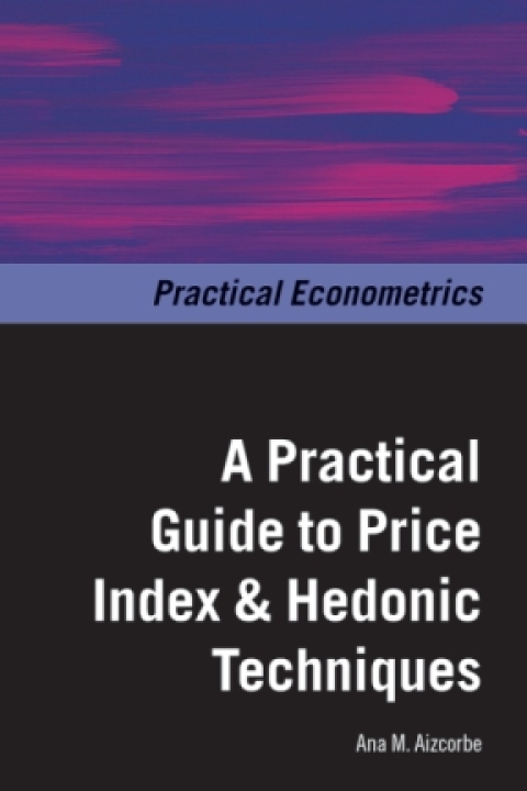 Cover image for book A Practical Guide to Price Index and Hedonic Techniques
