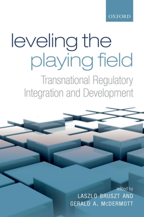 Cover image for book Leveling the Playing Field