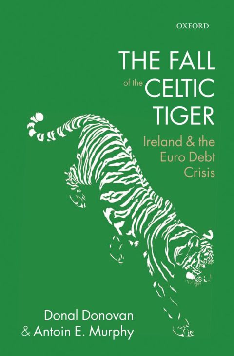 Cover image for book The Fall of the Celtic Tiger