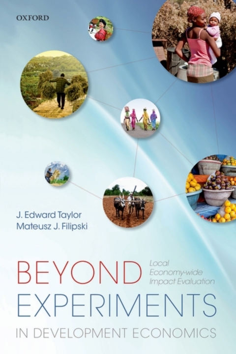 Cover image for book Beyond Experiments in Development Economics