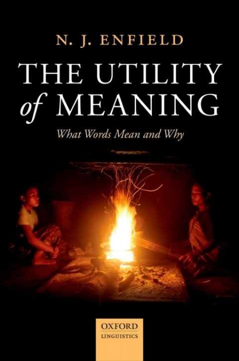 Cover image for book The Utility of Meaning