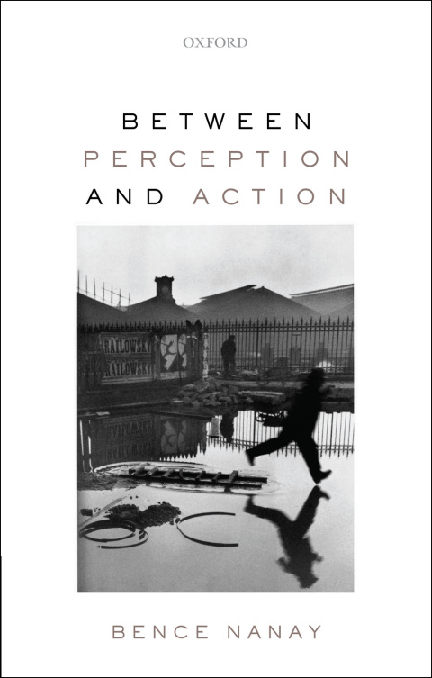 Cover image for book Between Perception and Action