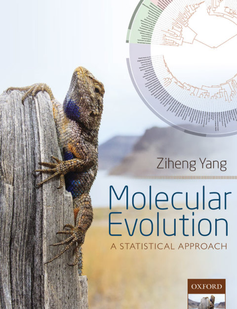 Cover image for book Molecular Evolution