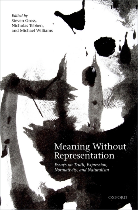 Cover image for book Meaning Without Representation