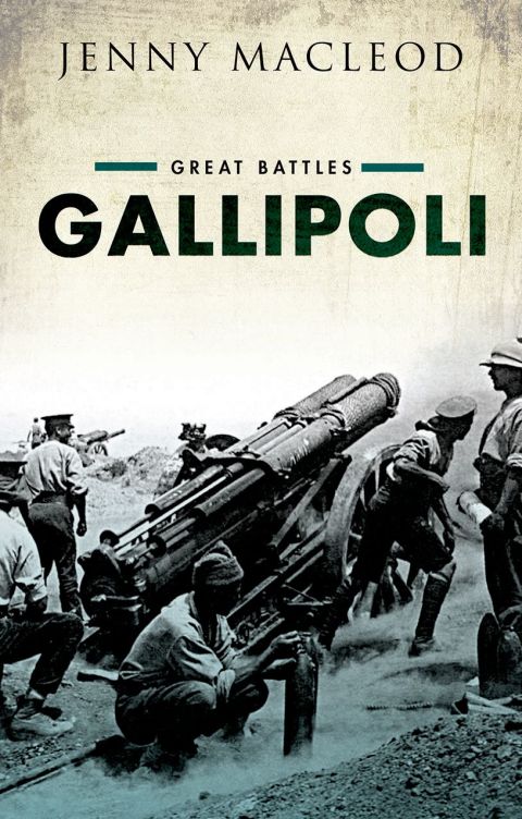 Cover image for book Gallipoli