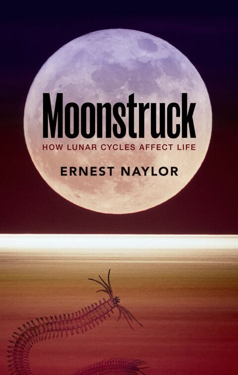 Cover image for book Moonstruck