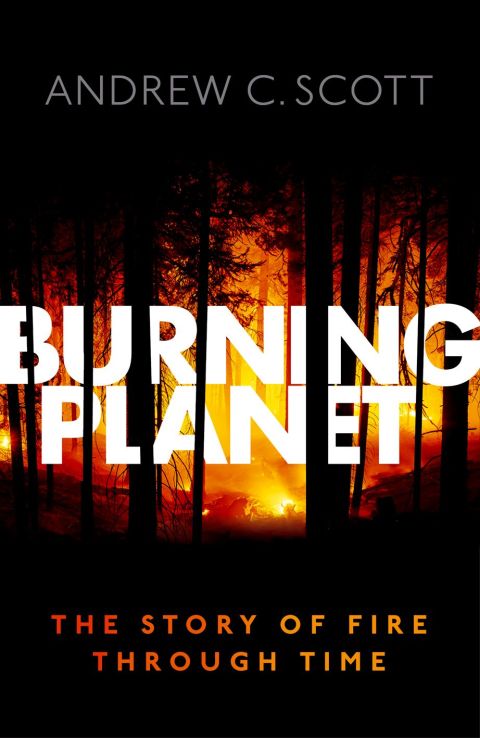 Cover image for book Burning Planet