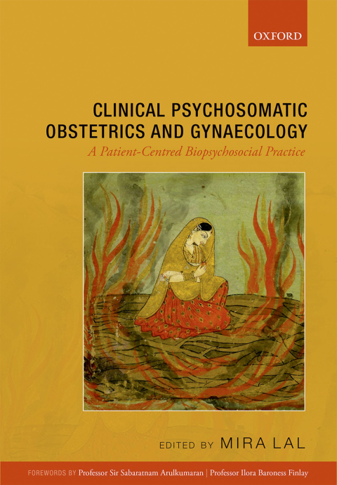 Cover image for book Clinical Psychosomatic Obstetrics and Gynaecology