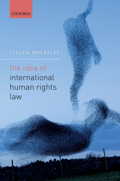 Cover image for book The Idea of International Human Rights Law