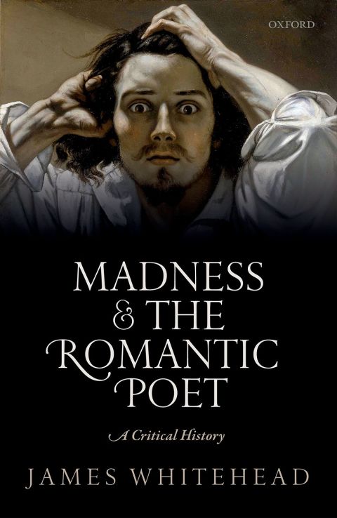 Cover image for book Madness and the Romantic Poet