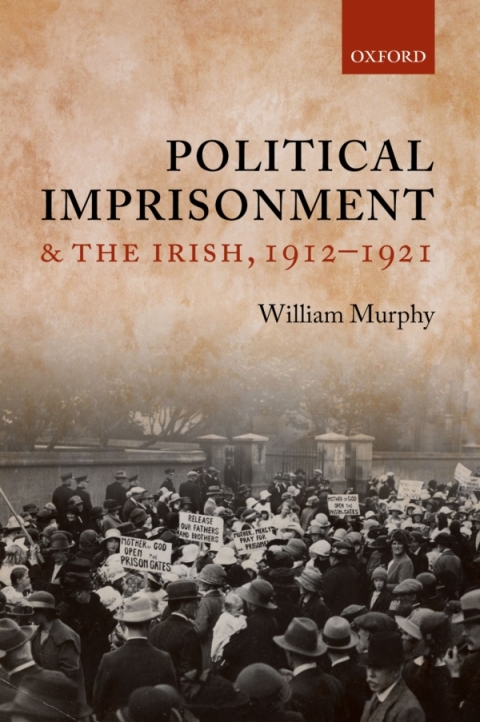 Cover image for book Political Imprisonment and the Irish, 1912-1921