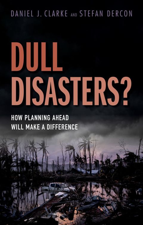 Cover image for book Dull Disasters?