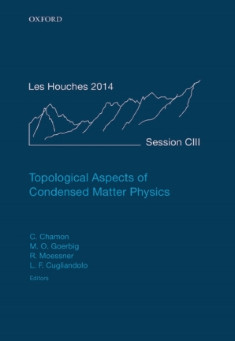 Cover image for book Topological Aspects of Condensed Matter Physics