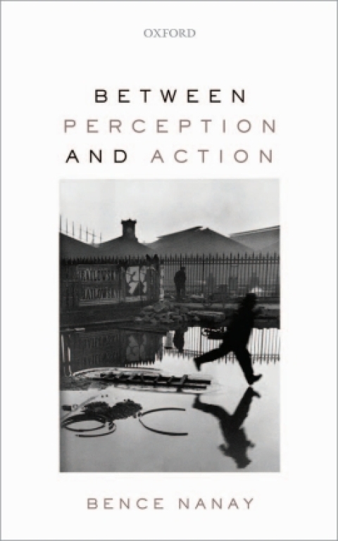 Cover image for book Between Perception and Action