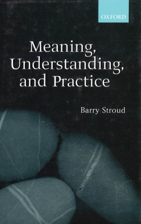 Cover image for book Meaning, Understanding, and Practice