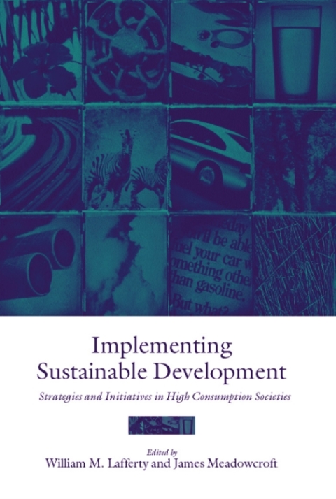 Cover image for book Implementing Sustainable Development