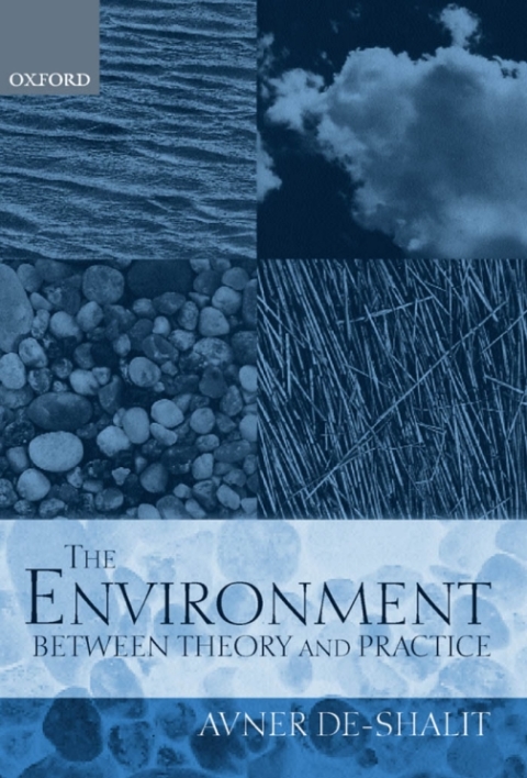 Cover image for book The Environment Between Theory and Practice