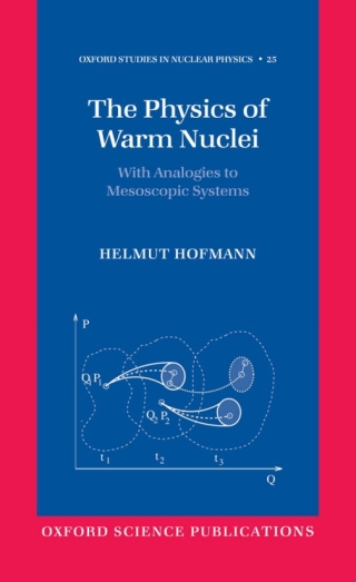 The Physics of Warm Nuclei
