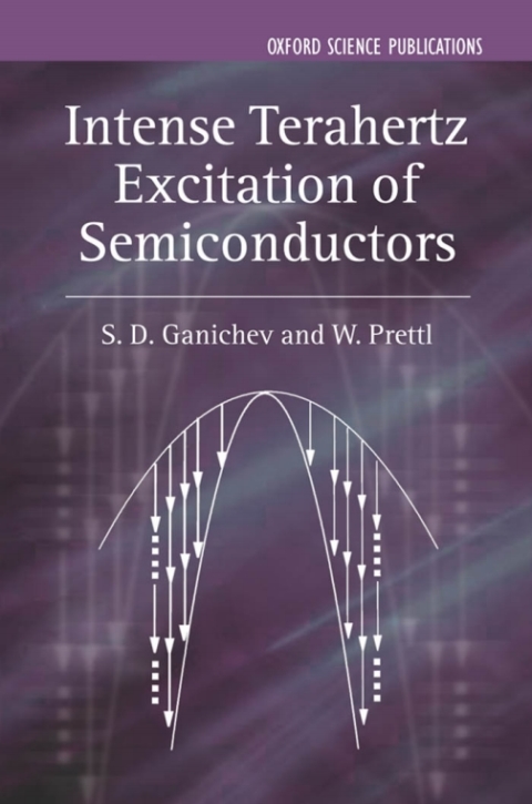 Cover image for book Intense Terahertz Excitation of Semiconductors