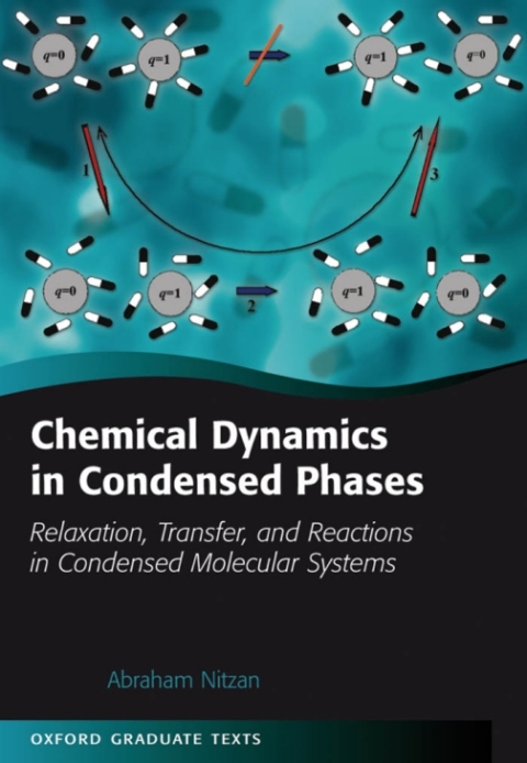 Cover image for book Chemical Dynamics in Condensed Phases