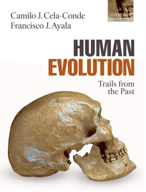 Cover image for book Human Evolution