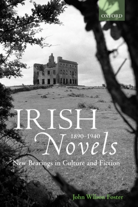 Cover image for book Irish Novels 1890-1940