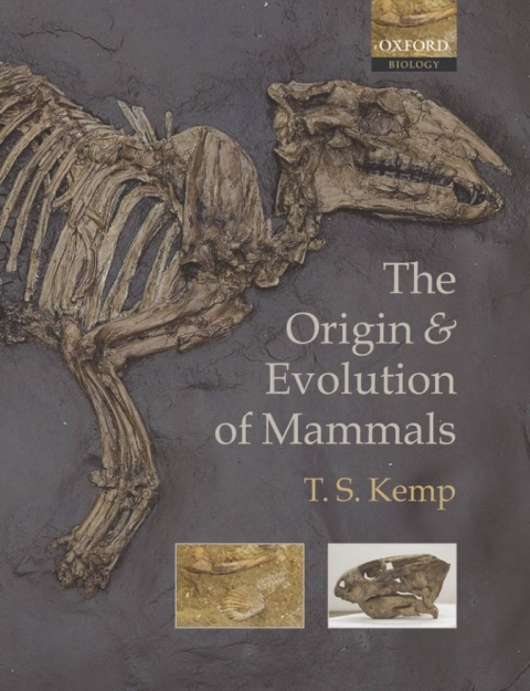 Cover image for book The Origin and Evolution of Mammals
